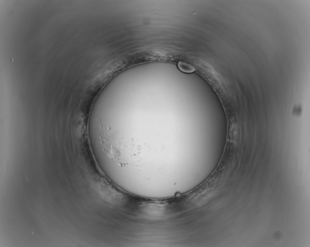 X0000096390318200802071543
