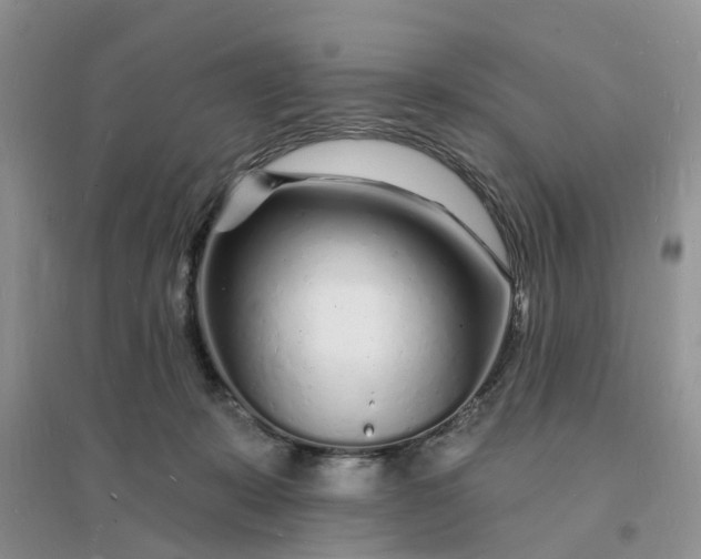 X0000096390319200802071543