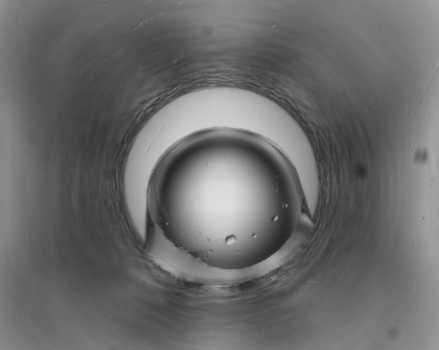 X0000096390320200802071543