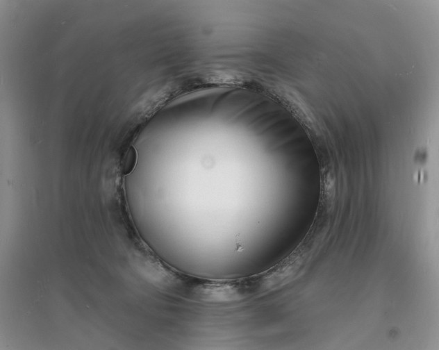 X0000096390322200802071543