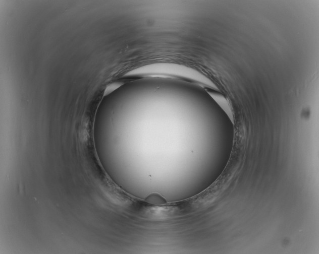 X0000096390323200802071543