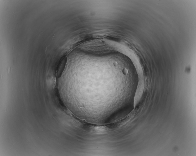 X0000096390324200802071543