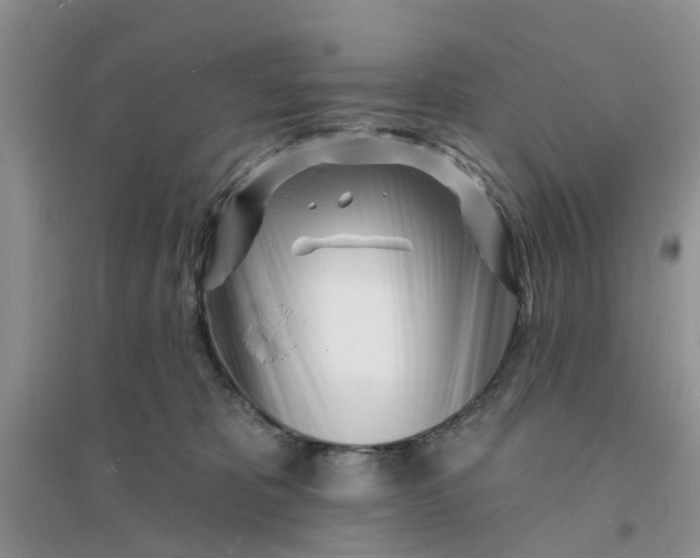 X0000096390325200802071543