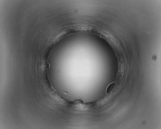 X0000096390326200802071543