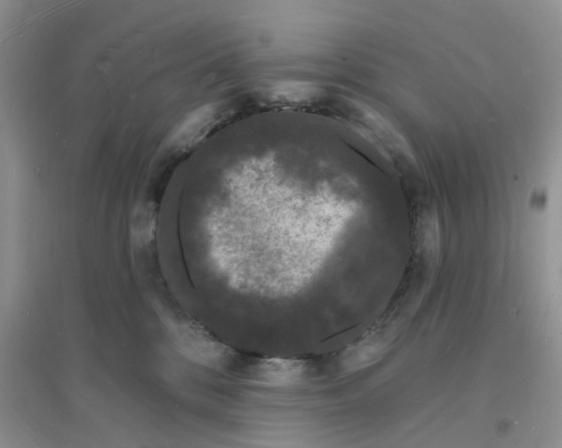 X0000096390328200802071543