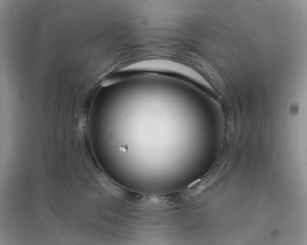 X0000096390329200802071543