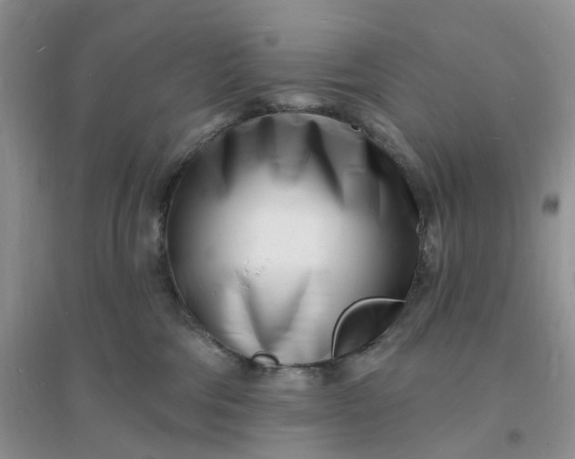 X0000096390330200802071543