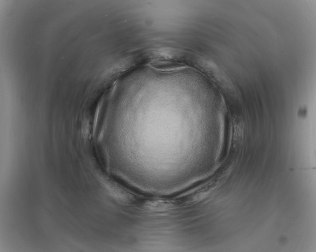 X0000096390331200802071543