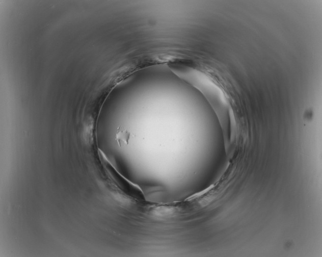 X0000096390332200802071543