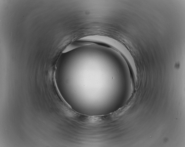 X0000096390333200802071543