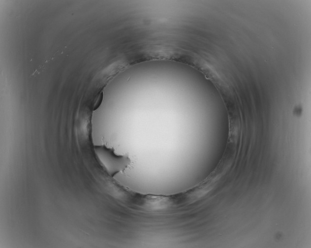 X0000096390334200802071543