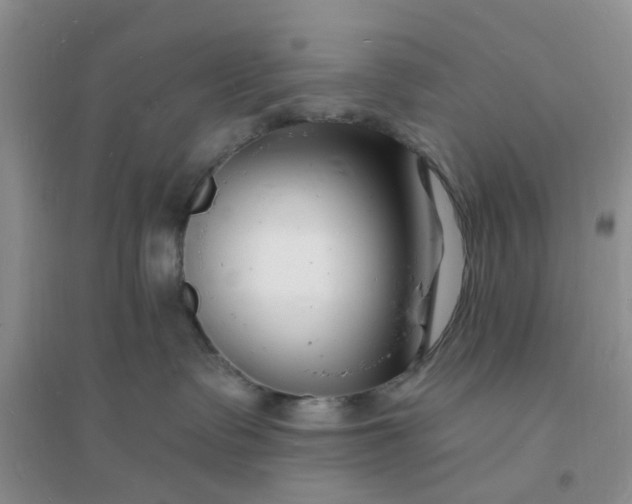 X0000096390335200802071543