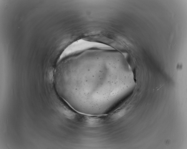 X0000096390336200802071543