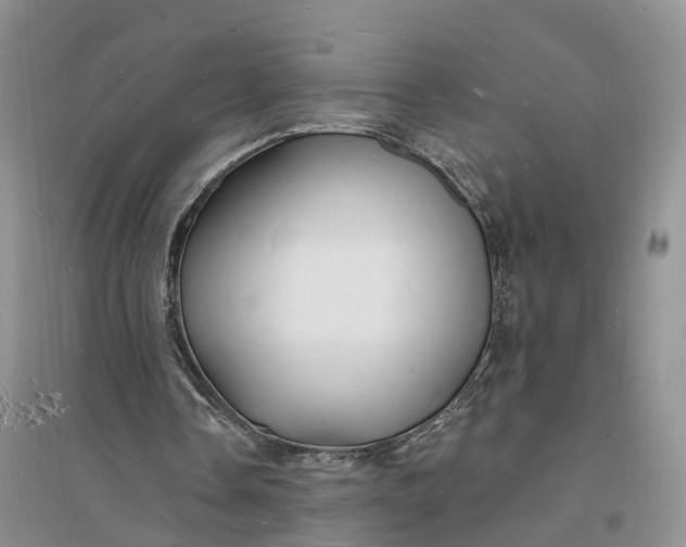 X0000096390338200802071542