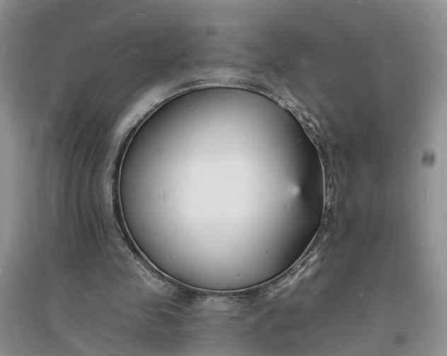 X0000096390341200802071542
