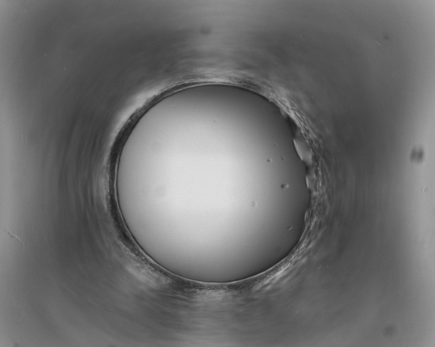 X0000096390342200802071542