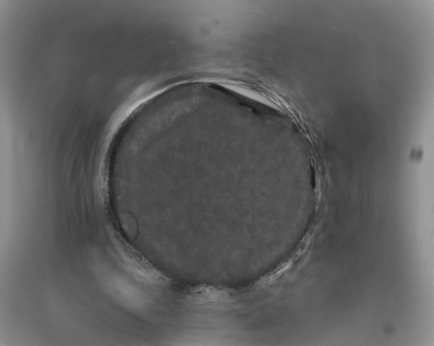 X0000096390343200802071542