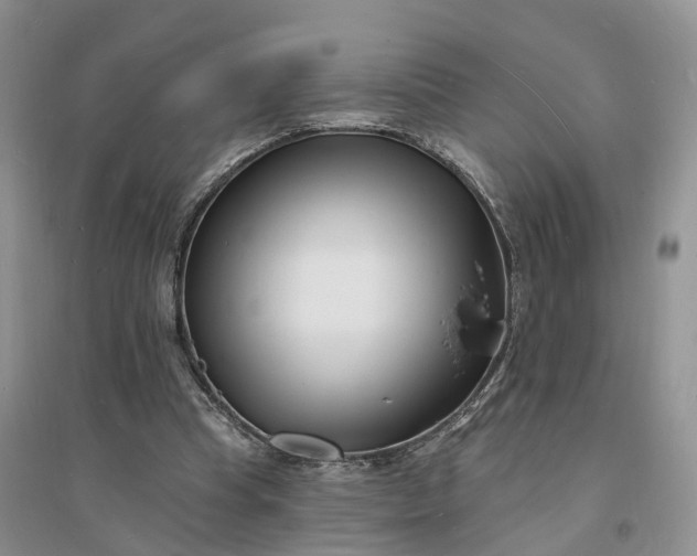 X0000096390345200802071542