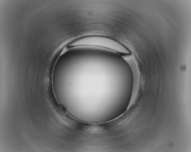X0000096390348200802071542