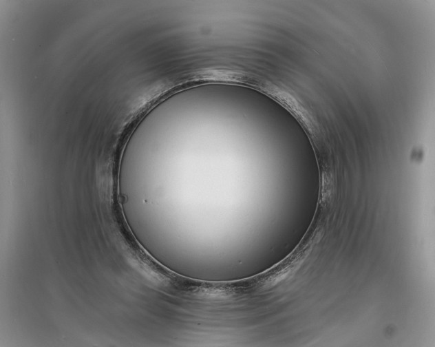X0000096390349200802071542