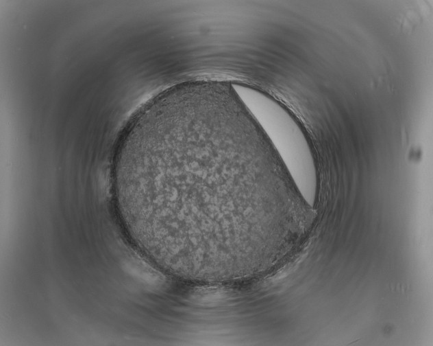 X0000096390351200802071542