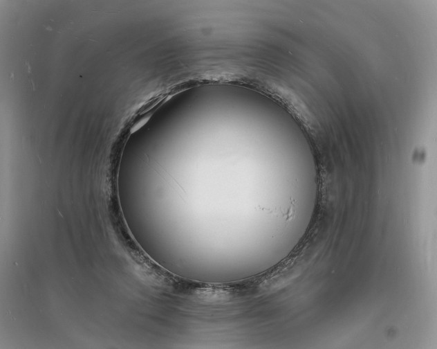 X0000096390354200802071542