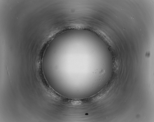 X0000096390355200802071542