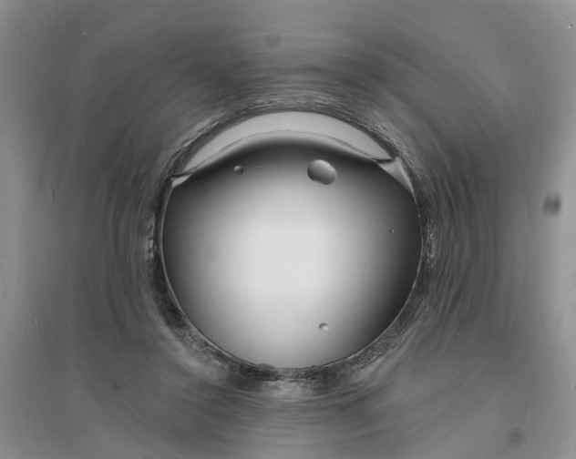X0000096390356200802071542