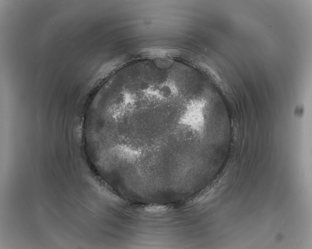 X0000096390357200802071542