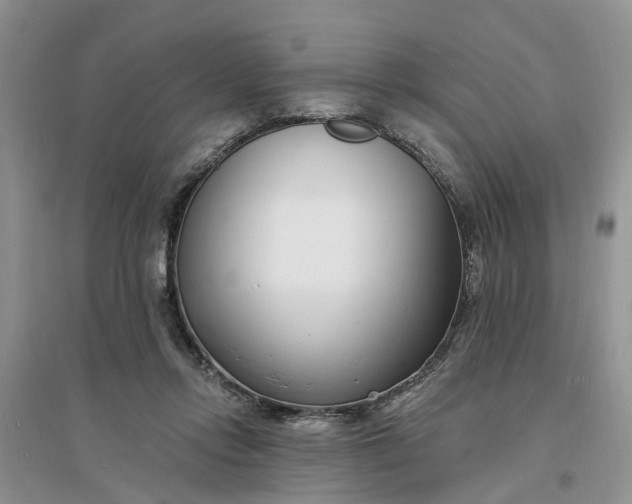 X0000096390358200802071542