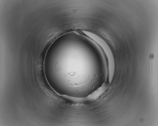 X0000096390362200802071543