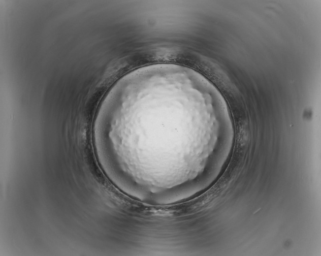 X0000096390363200802071543