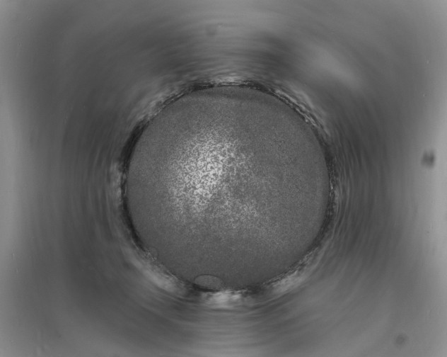 X0000096390366200802071543