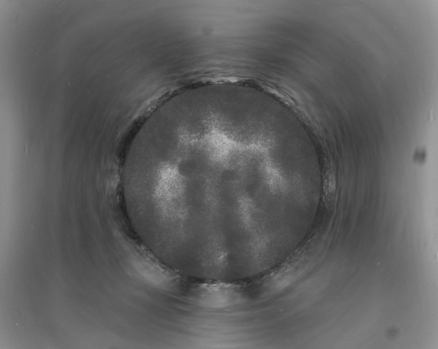 X0000096390367200802071543