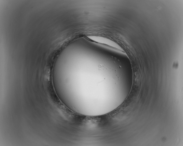 X0000096390368200802071543