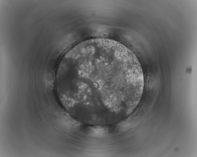 X0000096390370200802071543