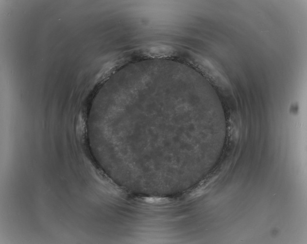 X0000096390371200802071543