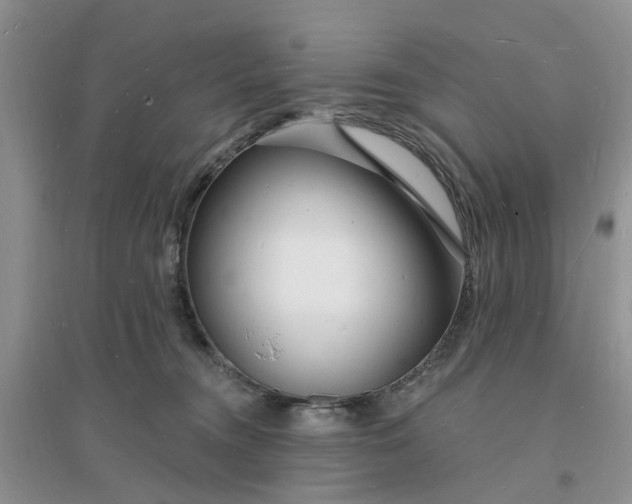X0000096390372200802071543