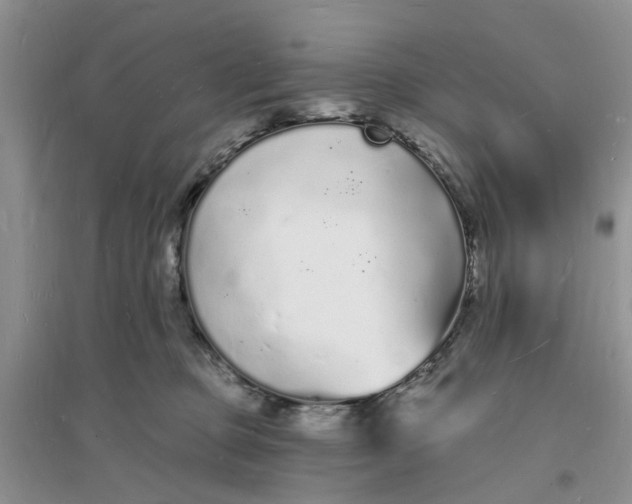 X0000096390373200802071543