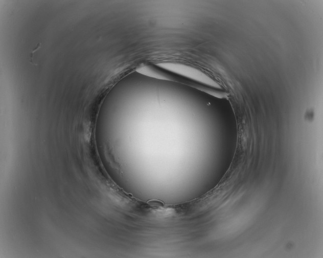 X0000096390374200802071543