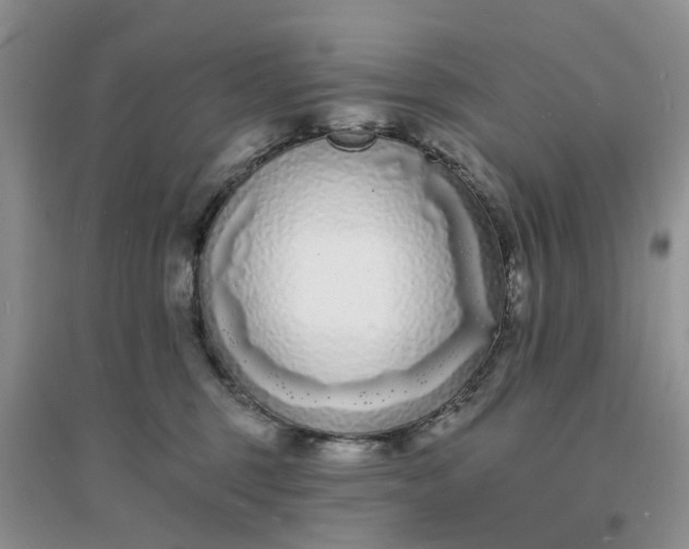 X0000096390375200802071543