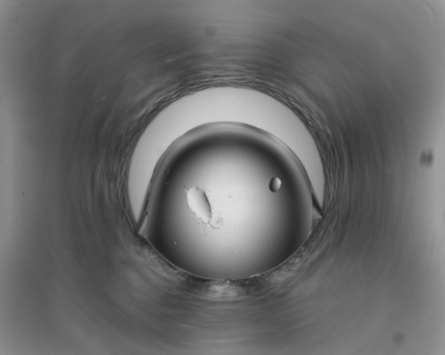 X0000096390376200802071543