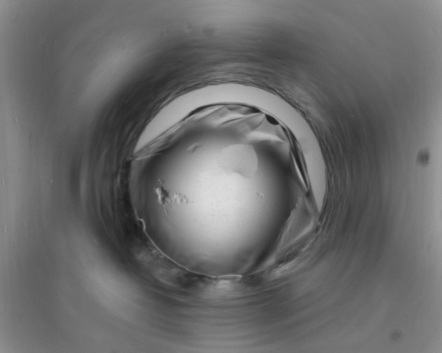 X0000096390382200802071543