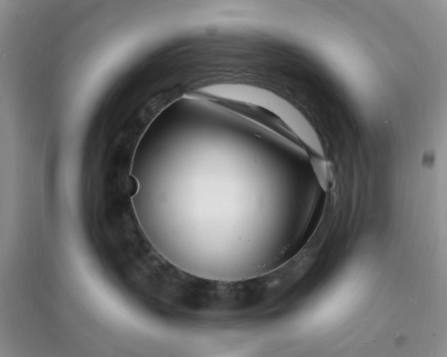 X0000096390383200802071543