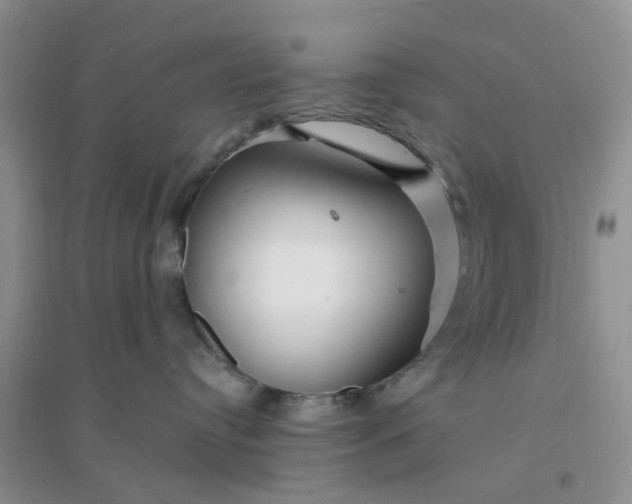 X0000096390384200802071543