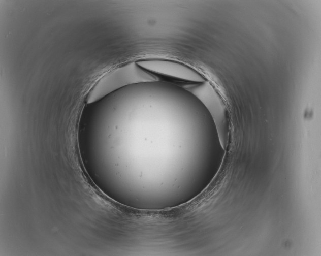 X0000096390385200802071542