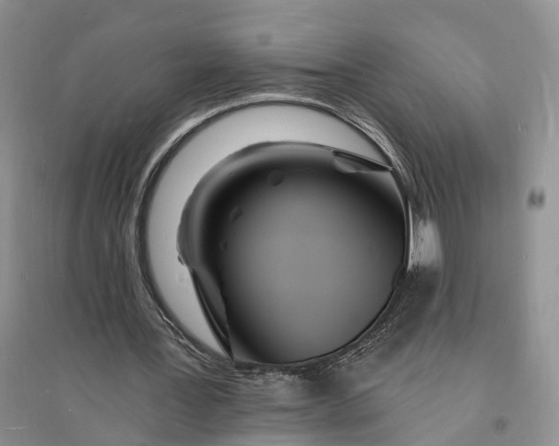 X0000096390387200802071542