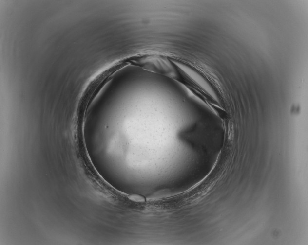 X0000096390388200802071542