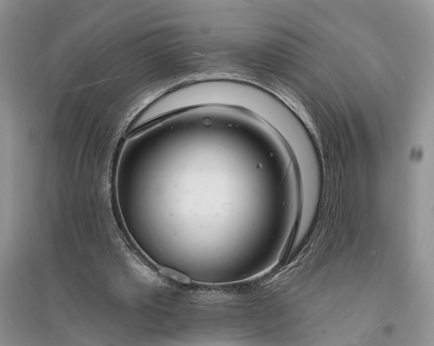 X0000096390389200802071542