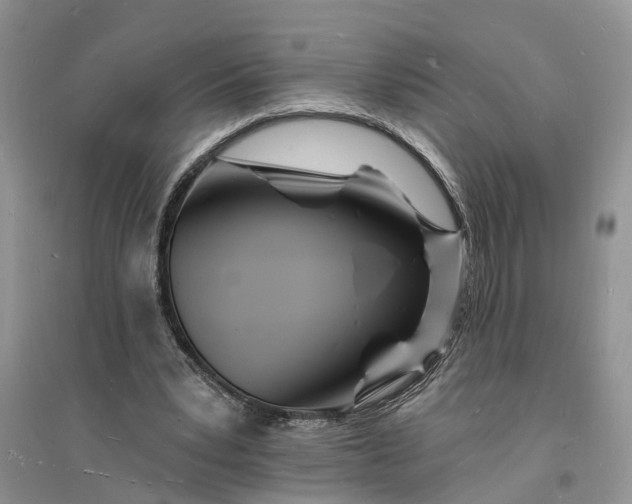X0000096390391200802071542